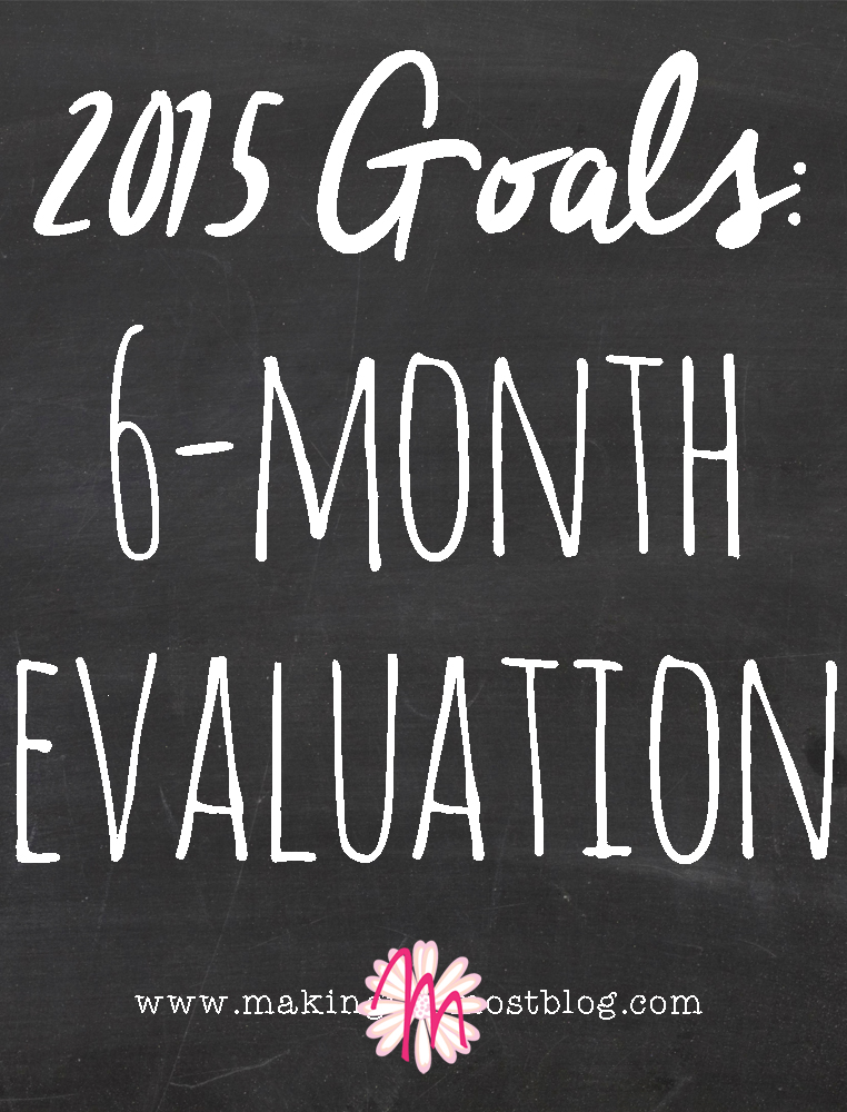 2015 Goals: 6-Month Evaluation | Making the Most Blog